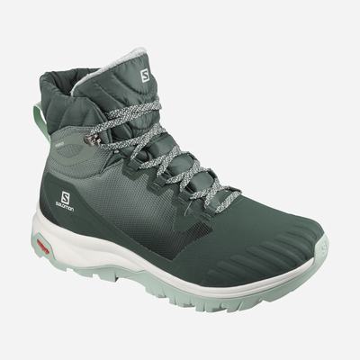Dámské Zimní Boty Salomon VAYA BLAZE THINSULATE™ CLIMASALOMON™ WATERPROOF Zelene SA17264-390